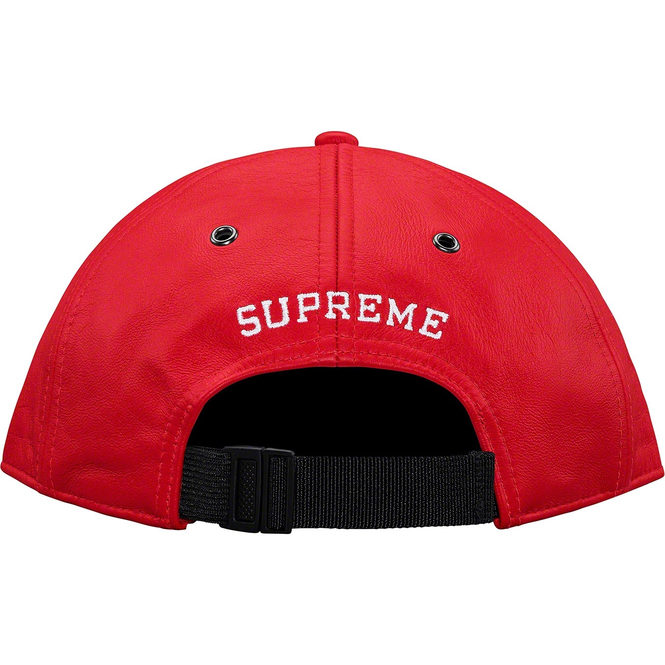 Supreme®/The North Face® Leather 6-Panel view 5